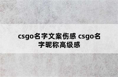 csgo名字文案伤感 csgo名字昵称高级感